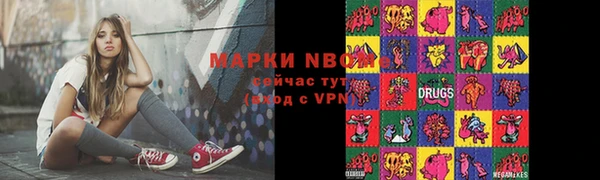 индика Бородино