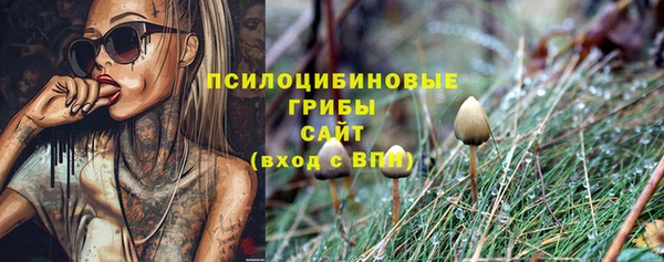 МДПВ Володарск