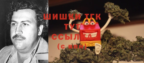 МДПВ Володарск