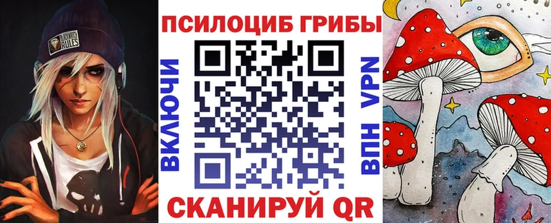 где купить наркотик  Заводоуковск  OMG вход  Галлюциногенные грибы Psilocybine cubensis 