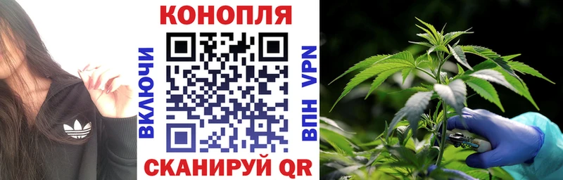 Шишки марихуана Bruce Banner  Заводоуковск 